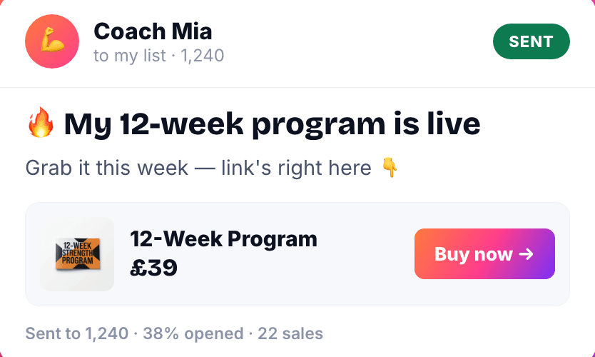 A campaign sent to 1,240 subscribers with 38% opened and 22 sales